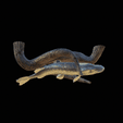 pike-high-quality-1-6.gif big old pike underwater statue on the wall detailed texture for 3d printing