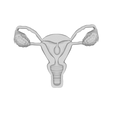 ezgif.com-gif-maker-6.gif uterus