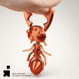 Madistudios-2.gif BITING ANT