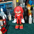 ezgif.com-gif-maker-3.gif STL file Flexi Knuckles the Echidna (Sonic) - Print In Place・3D printing template to download