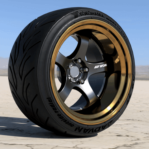 🚗 Work Meister S1 R 2p 18 inch rims with advan tires for diecast