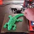 Lizard_2_2.gif Lézard articulé Pas de support Impression en place