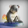 Koala.gif Koala - STL  3d print   -Color STL-Animals Collection 3D models