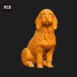 114-Basset_Fauve_de_Bretagne_Pose_06.gif Basset Fauve de Bretagne Dog 3D Print Model Pose 06
