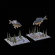 carp-scenery-45cm-3.gif two carp scenery in underwather for 3d print detailed texture