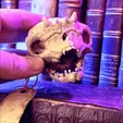 ezgif.com-optimize-1.gif Articulated Troll Skull - Sciptemus Brutus - Halloween