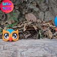 VE-Project-for-vides.mp4 CUTE FELXY OWL BIRD FEMALE AND MALE (TWO VERSION)