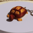 VIDEO-TORTUE.gif TURTLE