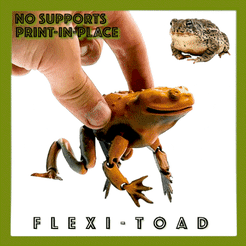 flexi-toad-low.gif Файл STL Flexi Toad Frog шарнирная печать на месте без опор・Дизайн 3D принтера для загрузки