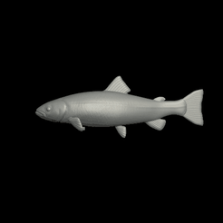 pstruh-imprint.gif STL file detailed rainbow trout for imprint to form 3d lure・3D printing template to download, ARTMANS