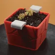 pot-1.gif Plant pot with extractable base