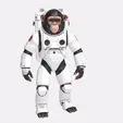 DBX Monkey Astronaut