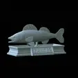 zander-statue-4-open-mouth-1-2.gif fish zander / pikeperch / Sander lucioperca  open mouth statue detailed texture for 3d printing