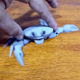 GIF-201112_002722.gif flexi print crab smiling