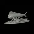 my_project-1-2.gif mahi mahi / dorado / common dolphinfish underwater statue detailed texture for 3d printing