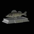 Zander-money.gif fish sculpture of a zander / pikeperch with storage space for 3d printing