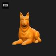 215-Belgian_Shepherd_Dog_Malinois_Pose_08.gif Belgian Shepherd Dog Malinois Dog 3D Print Model Pose 08
