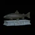Trout-statue-4.gif fish rainbow trout / Oncorhynchus mykiss statue detailed texture for 3d printing