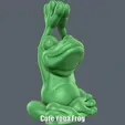 Cute-Yoga-Frog.gif Cute Yoga Frog (Easy print no support)