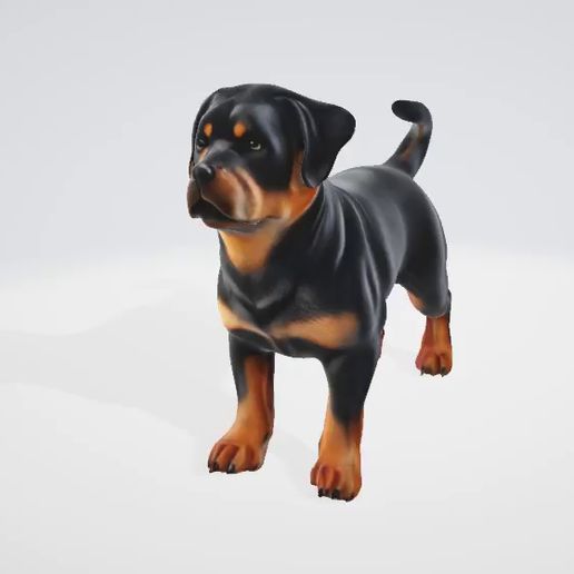 🐕 Rottweiler - Realistic 3D Model・ STL File for 3D printing・Cults