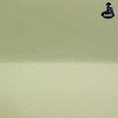 Lizard.gif Funny Lizard Gecko - Articulated - Print in Place - No Supports - Flexi