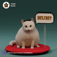 Cat_turnaround_compressed.gif HUH Cat - Fat and adorable Cat from the meme