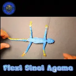 Sinai-Agama_Video_1.gif Sinai Agama Flexi-Articulate (2X1)
