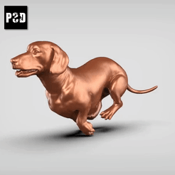 dachshund.gif Download STL file Dachshund Pose 03 • 3D printing template, peternak3d
