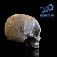 craneo00.gif Télécharger fichier STL crâne humain • Design pour impression 3D, zaider