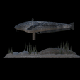 sumec-podstavec-high-quality.gif catfish / Siluriformes / sumec velký underwater statue detailed texture for 3d printing