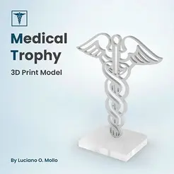 DocTP_Trailer.gif Medical Trophy