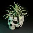skullplant.gif Skull Flowerpot