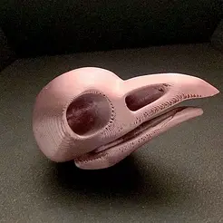 My_Stop_Motion_Movie_7_.gif Bird skull (print in place)