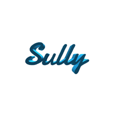 Sully best 3D printer files・69 models to download・Cults