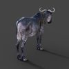 01.gif Archivo STL gratis Animal Gnu・Objeto de impresión 3D para descargar, Mister_lo0l_