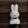 ezgif.com-video-to-gif (2).gif Polygon Bunny
