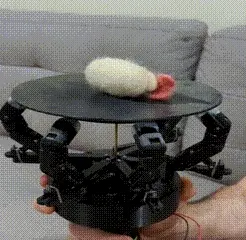 PXL_20211122_013109504.TS_3-2.gif OBJ file The Hoeken Hand 3D printed Spinning Plate Machine・3D printing template to download