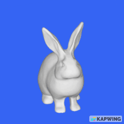 rabbit.gif Bunny