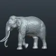 ezgif-1-173af54abf67.gif Asian Elephant