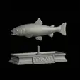 Rainbow-trout-statue-6.gif fish rainbow trout / Oncorhynchus mykiss open mouth statue detailed texture for 3d printing