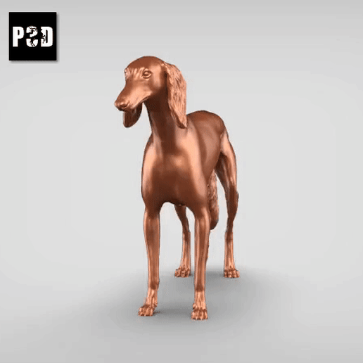 Saluki V2 3D model