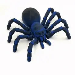 Tarantula_2.gif Файл STL Артикулированный тарантул・Дизайн 3D принтера для загрузки