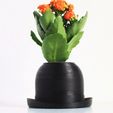 bowlerhatplanter.gif Bowler Hat Mini Plant Pot for Succulent&Cactus