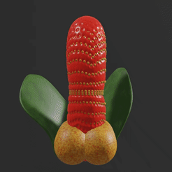 dick-710-strawberry-gif.gif Fichier STL Fraise femme homme original bio anal vaginal plug dildo bite pénis Ass Anus Expander dt-710 3d print cnc・Plan à imprimer en 3D à télécharger