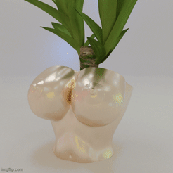 cults.gif STL file Boob Flower Pot Planter Box・3D print object to download