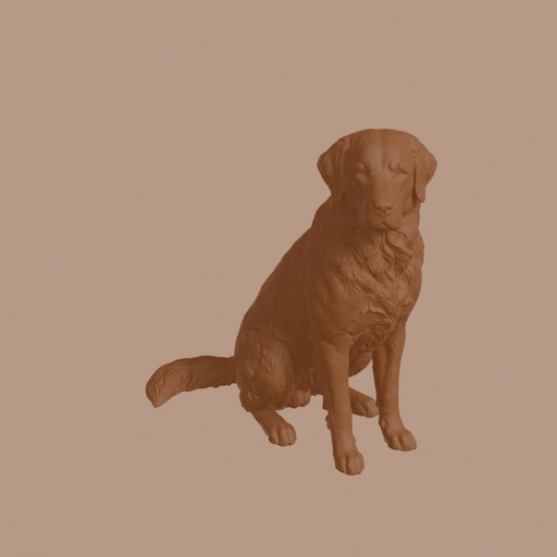 Mucuchies Dog in Sitting Pose