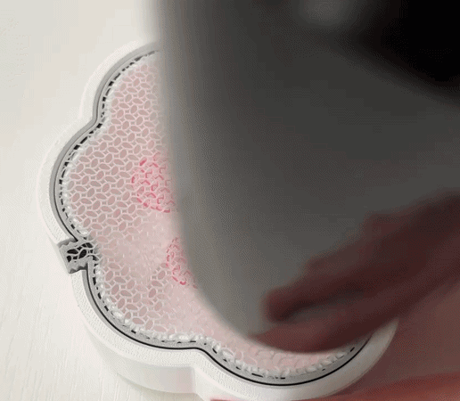 Thermoformed cat paw