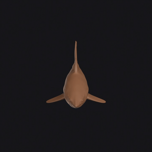 Mako Shark