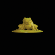 Frog.gif Frog