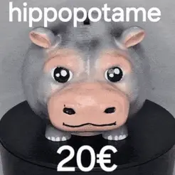 1000009636.gif Hippo Chubby